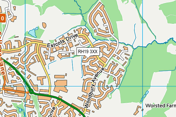 RH19 3XX map - OS VectorMap District (Ordnance Survey)
