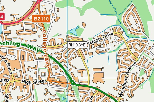 RH19 3YE map - OS VectorMap District (Ordnance Survey)