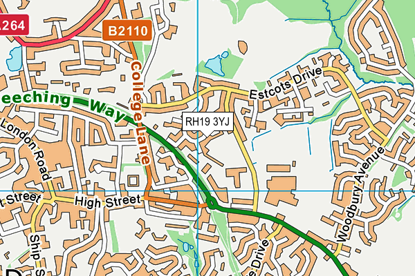 RH19 3YJ map - OS VectorMap District (Ordnance Survey)
