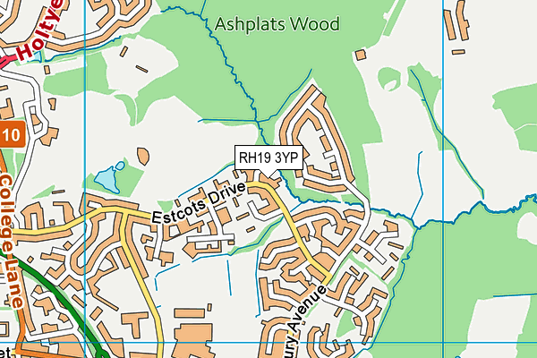 RH19 3YP map - OS VectorMap District (Ordnance Survey)