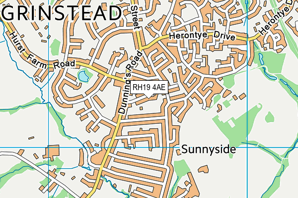 RH19 4AE map - OS VectorMap District (Ordnance Survey)