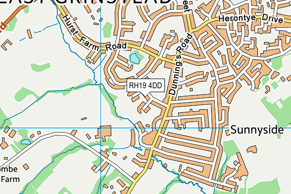 The Meads Primary School map (RH19 4DD) - OS VectorMap District (Ordnance Survey)