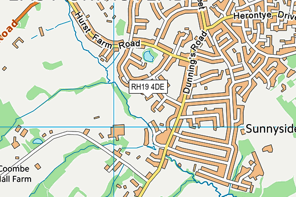 RH19 4DE map - OS VectorMap District (Ordnance Survey)