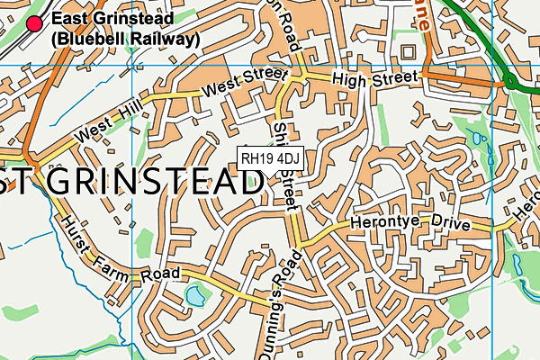 RH19 4DJ map - OS VectorMap District (Ordnance Survey)