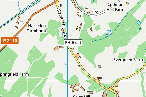 East Grinstead Sports Club map (RH19 4JU) - OS VectorMap District (Ordnance Survey)