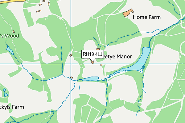 RH19 4LJ map - OS VectorMap District (Ordnance Survey)