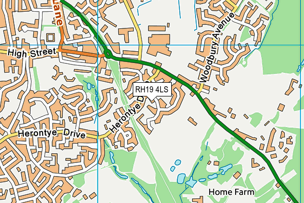 RH19 4LS map - OS VectorMap District (Ordnance Survey)