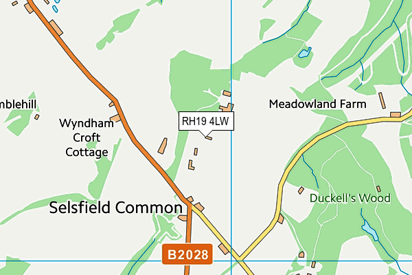 RH19 4LW map - OS VectorMap District (Ordnance Survey)