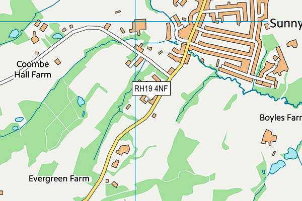 RH19 4NF map - OS VectorMap District (Ordnance Survey)