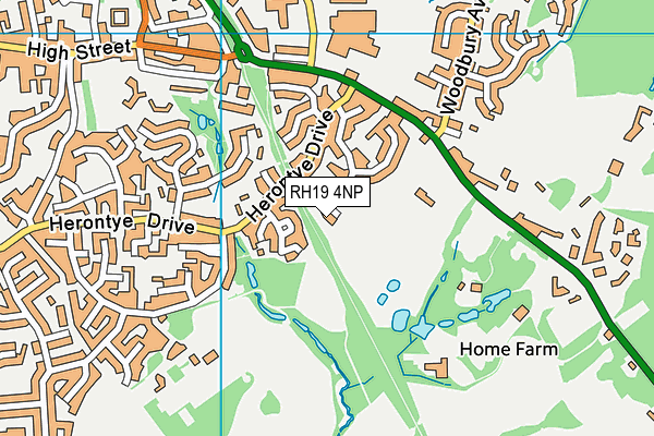 RH19 4NP map - OS VectorMap District (Ordnance Survey)