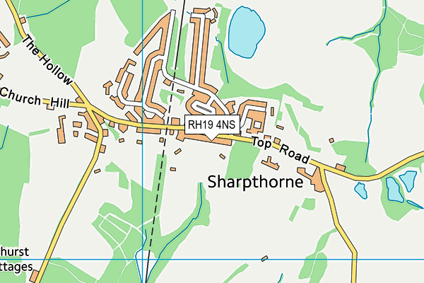 RH19 4NS map - OS VectorMap District (Ordnance Survey)