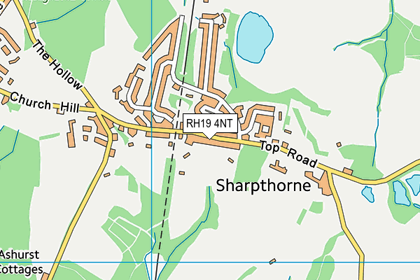 RH19 4NT map - OS VectorMap District (Ordnance Survey)