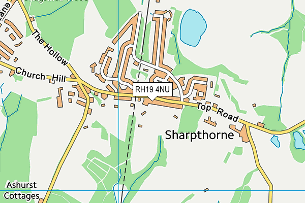 RH19 4NU map - OS VectorMap District (Ordnance Survey)