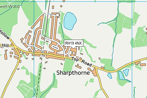 RH19 4NX map - OS VectorMap District (Ordnance Survey)