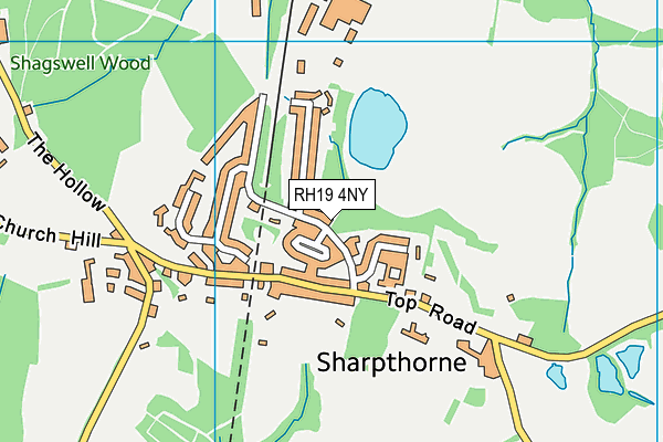 RH19 4NY map - OS VectorMap District (Ordnance Survey)
