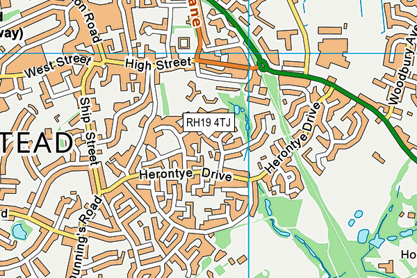 RH19 4TJ map - OS VectorMap District (Ordnance Survey)