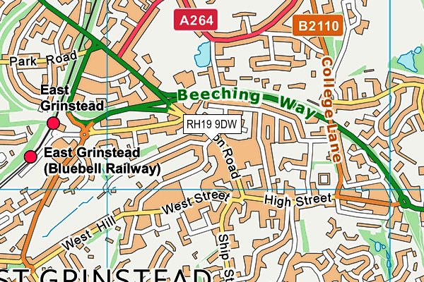 RH19 9DW map - OS VectorMap District (Ordnance Survey)