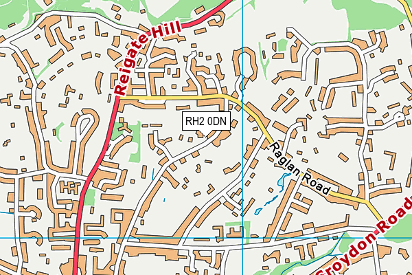 RH2 0DN map - OS VectorMap District (Ordnance Survey)