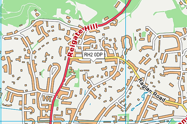 RH2 0DP map - OS VectorMap District (Ordnance Survey)