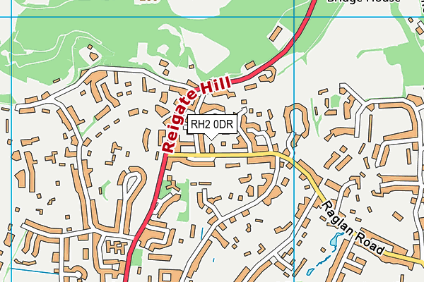 RH2 0DR map - OS VectorMap District (Ordnance Survey)