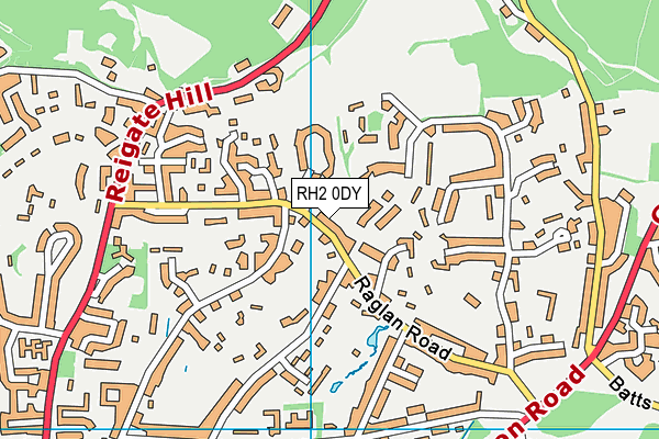 RH2 0DY map - OS VectorMap District (Ordnance Survey)