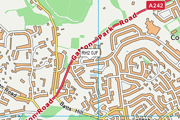 RH2 0JF map - OS VectorMap District (Ordnance Survey)