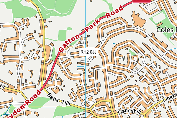 RH2 0JJ map - OS VectorMap District (Ordnance Survey)