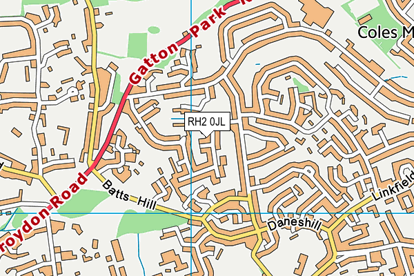 RH2 0JL map - OS VectorMap District (Ordnance Survey)