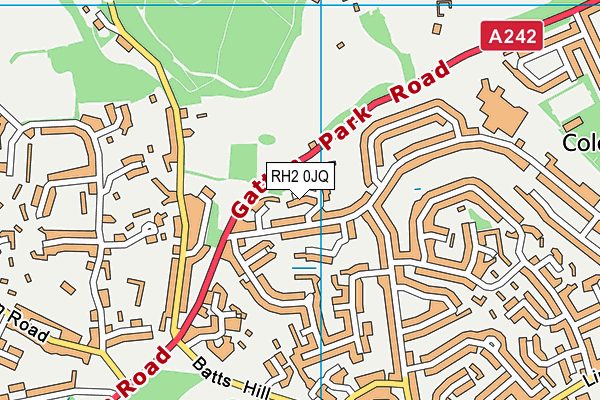 RH2 0JQ map - OS VectorMap District (Ordnance Survey)