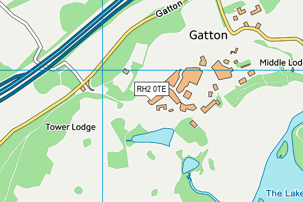 RH2 0TE map - OS VectorMap District (Ordnance Survey)