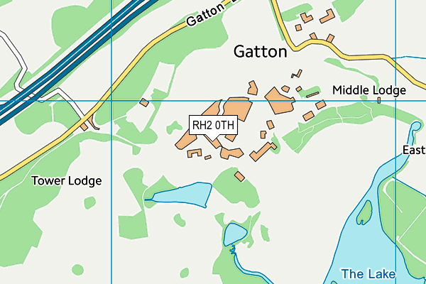 RH2 0TH map - OS VectorMap District (Ordnance Survey)