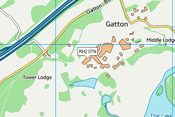 RH2 0TN map - OS VectorMap District (Ordnance Survey)