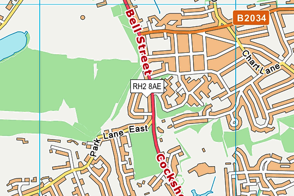 RH2 8AE map - OS VectorMap District (Ordnance Survey)