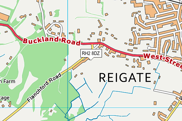 RH2 8DZ map - OS VectorMap District (Ordnance Survey)