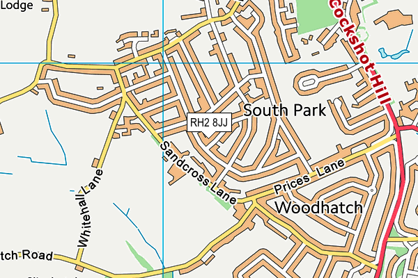 RH2 8JJ map - OS VectorMap District (Ordnance Survey)