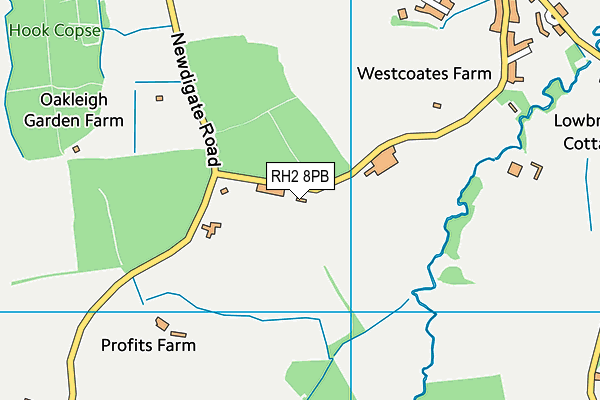 RH2 8PB map - OS VectorMap District (Ordnance Survey)