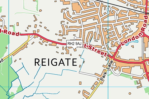 Reigate College (Wallfields Sports Ground) map (RH2 9AJ) - OS VectorMap District (Ordnance Survey)