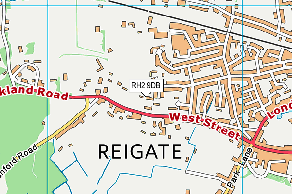 RH2 9DB map - OS VectorMap District (Ordnance Survey)