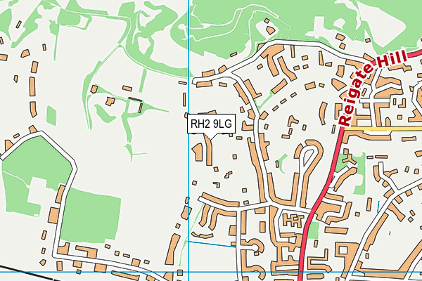 RH2 9LG map - OS VectorMap District (Ordnance Survey)