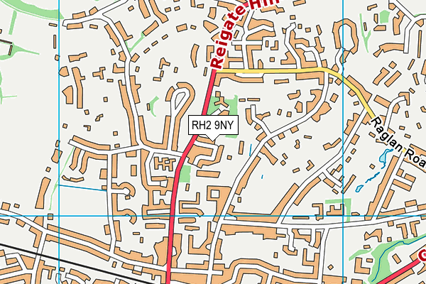 RH2 9NY map - OS VectorMap District (Ordnance Survey)