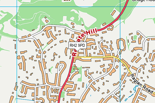 RH2 9PD map - OS VectorMap District (Ordnance Survey)