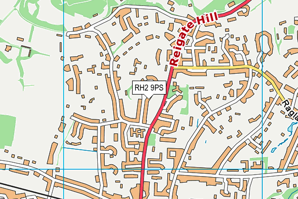 RH2 9PS map - OS VectorMap District (Ordnance Survey)