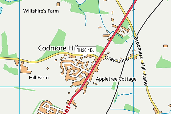 RH20 1BJ map - OS VectorMap District (Ordnance Survey)