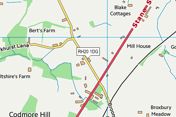 RH20 1DG map - OS VectorMap District (Ordnance Survey)