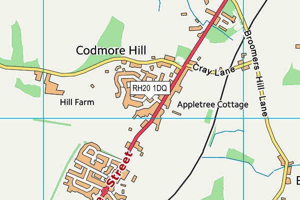 RH20 1DQ map - OS VectorMap District (Ordnance Survey)