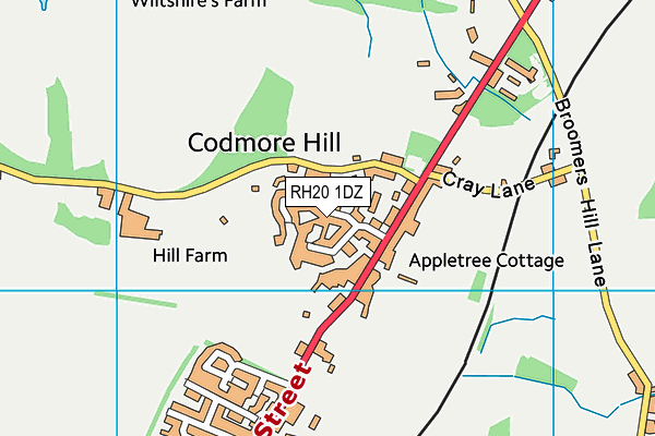 RH20 1DZ map - OS VectorMap District (Ordnance Survey)