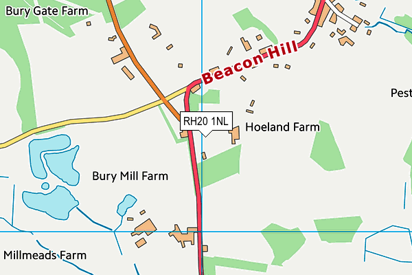 RH20 1NL map - OS VectorMap District (Ordnance Survey)