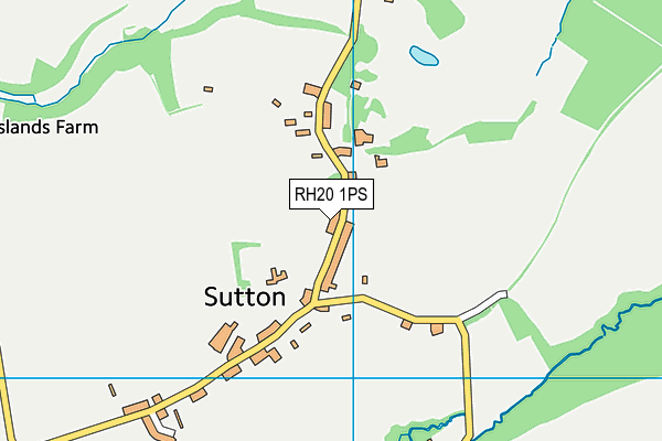 RH20 1PS map - OS VectorMap District (Ordnance Survey)