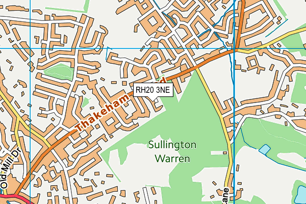 RH20 3NE map - OS VectorMap District (Ordnance Survey)