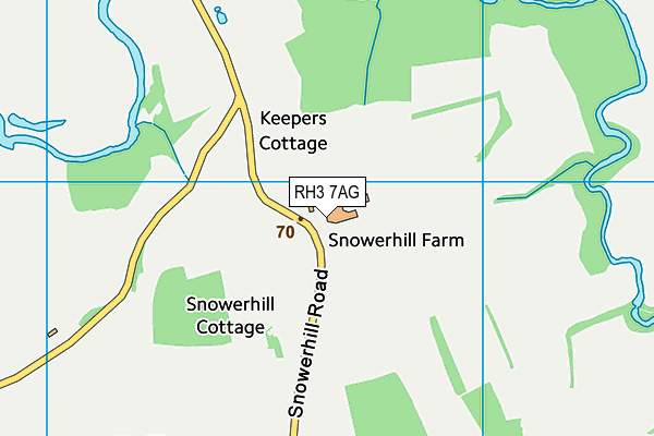 RH3 7AG map - OS VectorMap District (Ordnance Survey)